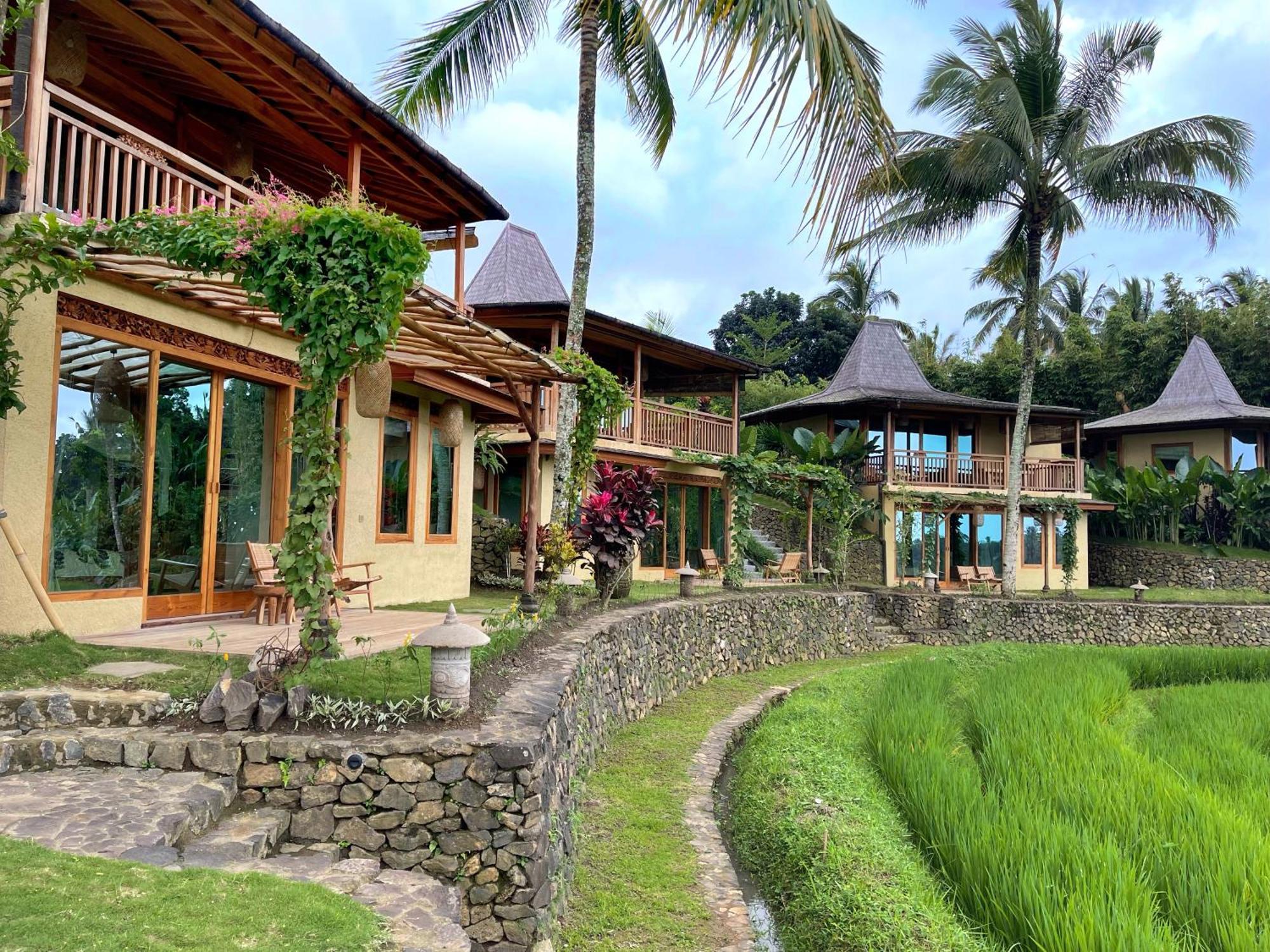 Puri Dajuma Terrace Eco Lodge & Spa Selemadeg  エクステリア 写真