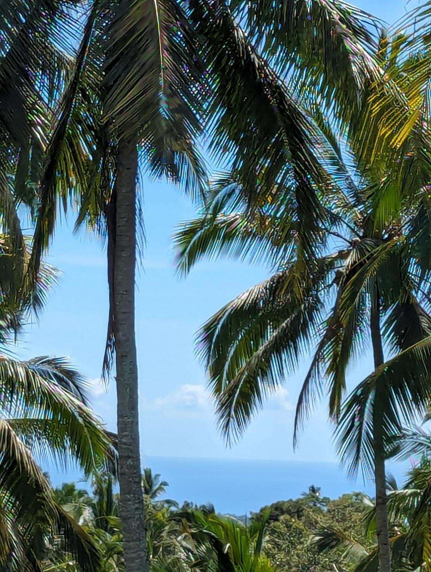 Puri Dajuma Terrace Eco Lodge & Spa Selemadeg  エクステリア 写真