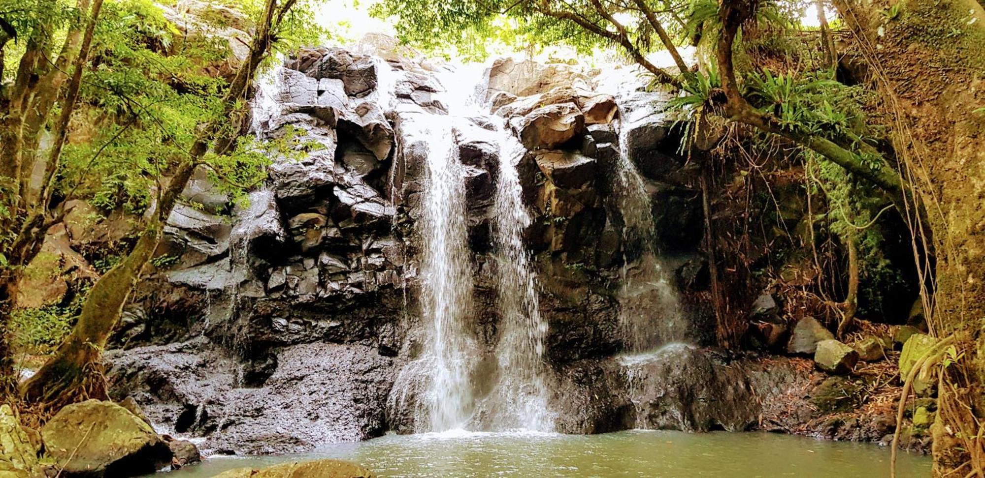 Puri Dajuma Terrace Eco Lodge & Spa Selemadeg  エクステリア 写真