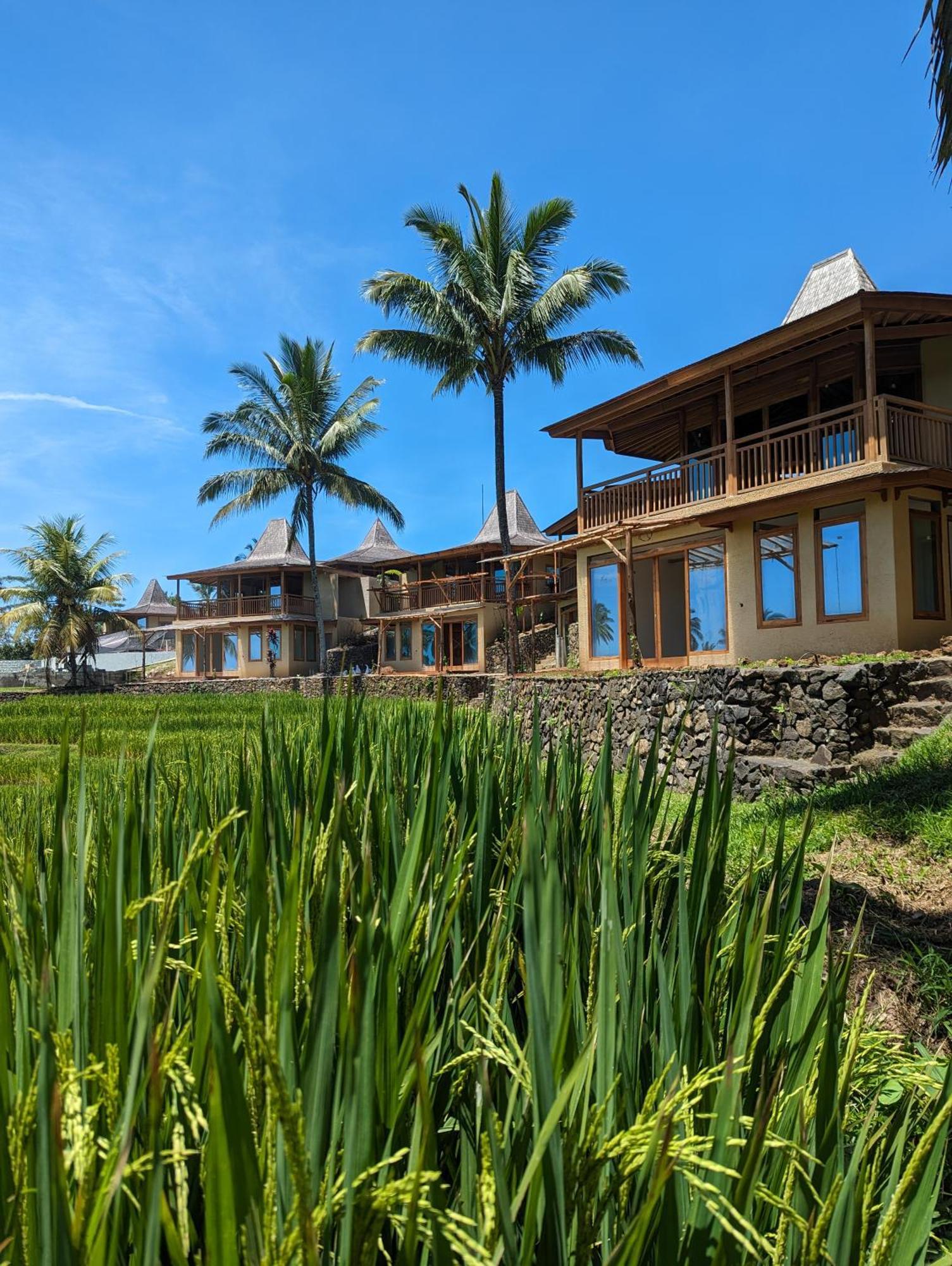 Puri Dajuma Terrace Eco Lodge & Spa Selemadeg  エクステリア 写真