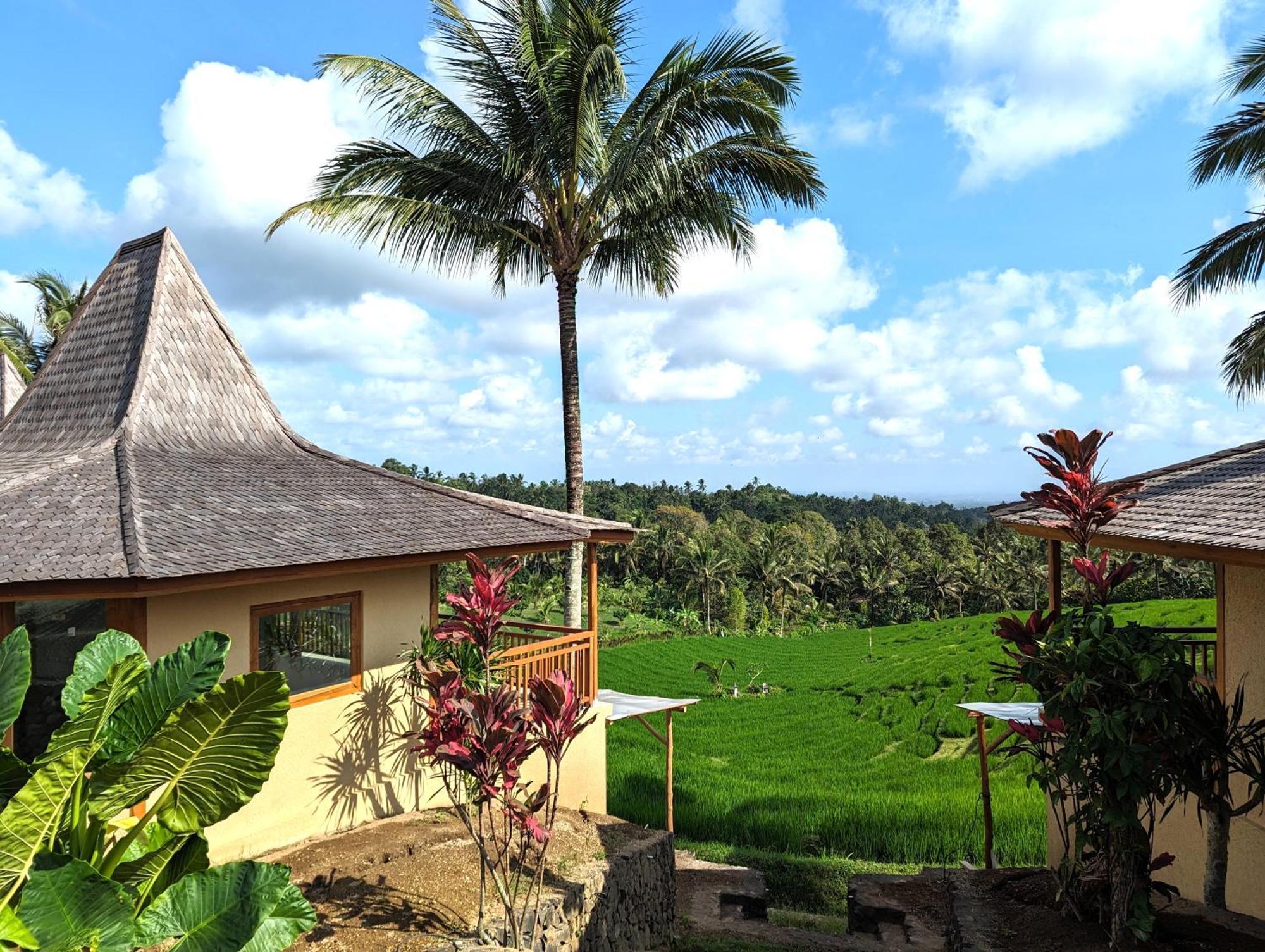 Puri Dajuma Terrace Eco Lodge & Spa Selemadeg  エクステリア 写真