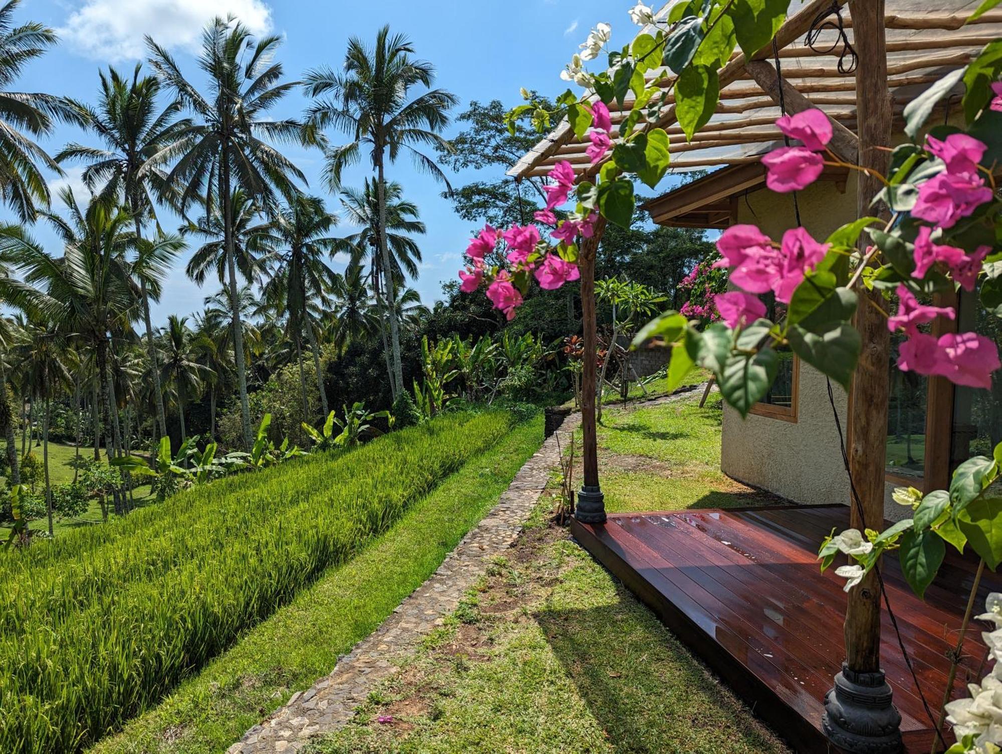 Puri Dajuma Terrace Eco Lodge & Spa Selemadeg  エクステリア 写真