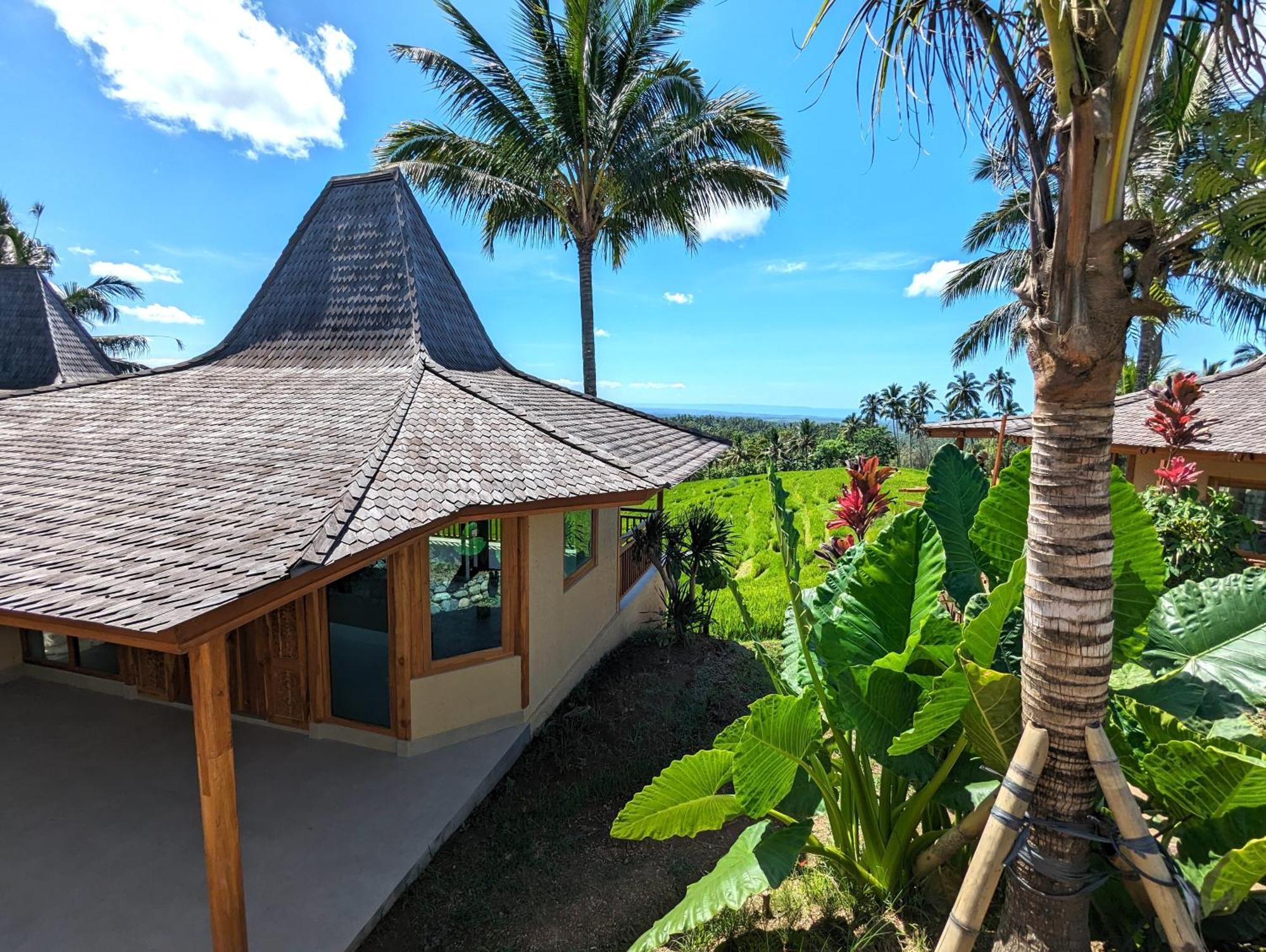 Puri Dajuma Terrace Eco Lodge & Spa Selemadeg  エクステリア 写真
